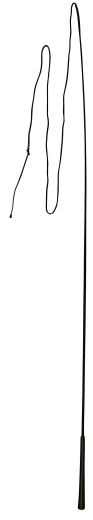 Kerbl Longierpeitsche 180