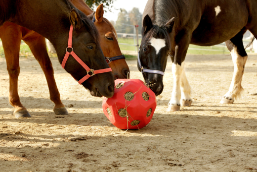 Kerbl Futterspielball