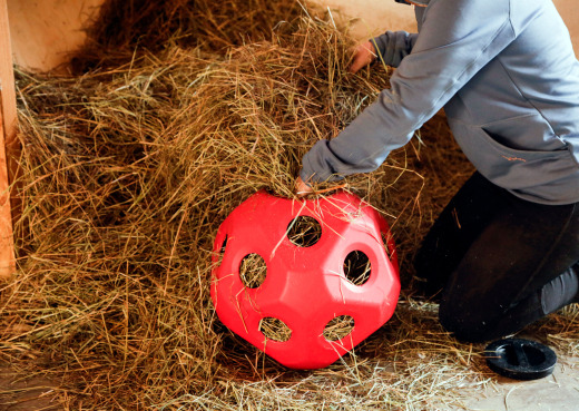 Kerbl Futterspielball