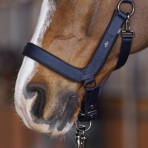 Halfter HVP-Essential – Anatomisch geformt, gepolstert und verstellbar