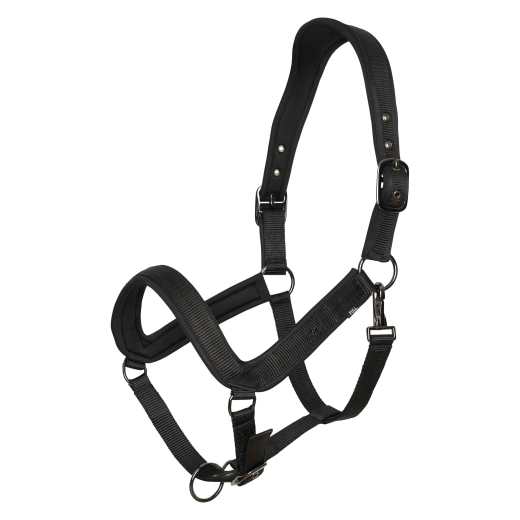 Halfter HVP-Essential – Anatomisch geformt, gepolstert und verstellbar