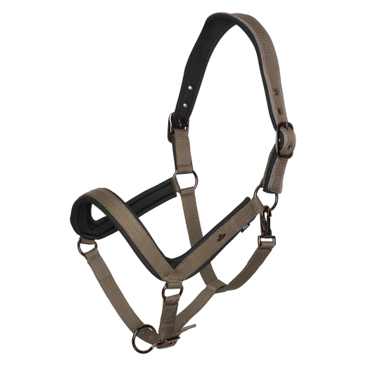 Halfter HVP-Essential – Anatomisch geformt, gepolstert und verstellbar
