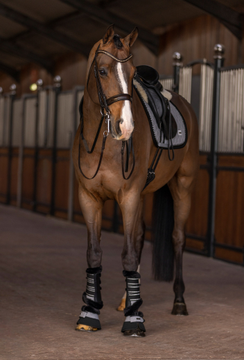 Dressurgamasche HV Polo Francis