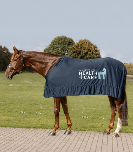 Waldhausen Health + Care Ice-Layer Decke