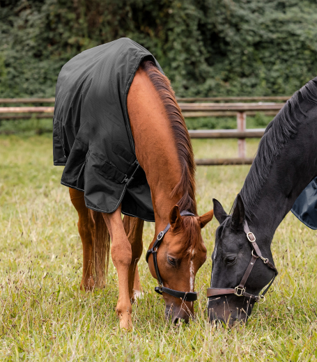 Waldhausen NORDIC Outdoordecke, Light