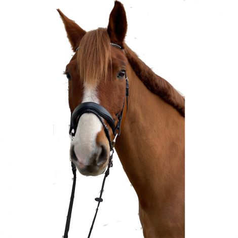 Trensenzaum Profi Soft mit Strass von Blue Cheval