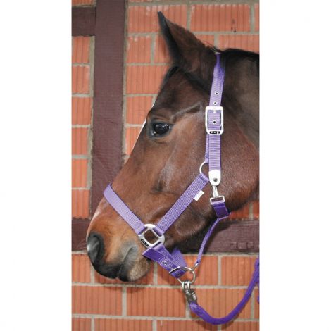 Halfter ELEGANCE unterlegt Pony