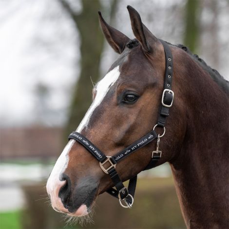 Halfter HVPNena von HV Polo