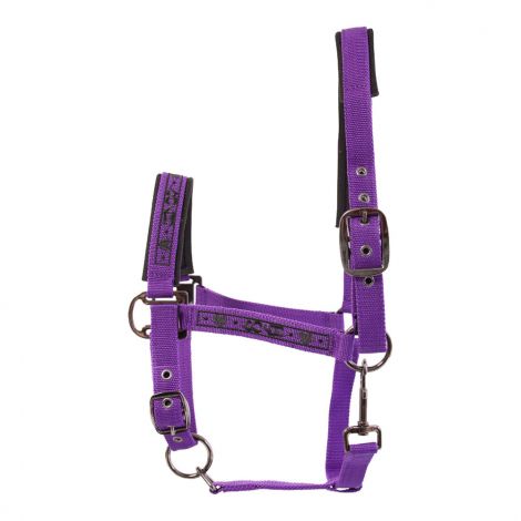 Halfter Lets Dance von Imperial Riding pink   cob
