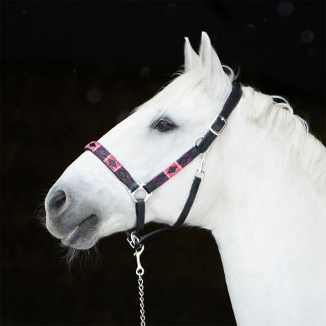 Stallhalfter Buenos Aires von Kieffer