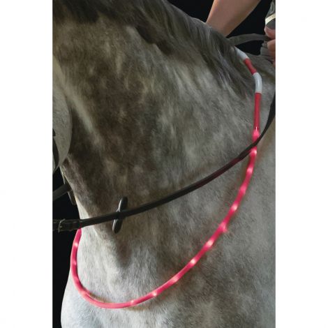 LED Leuchthalsring für Pferde von USG