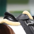 Passier Lammfell Pad Dressur