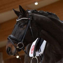 Trensenazum Lina von Kieffer