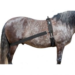 Lehmann Trainingssystem von USG